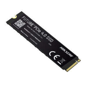 SSD INT NVME FUTURE LITE 1024G