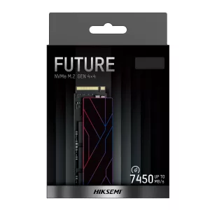 SSD INT NVME FUTURE LITE 2048G